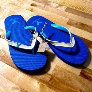 American Eagle Outfitters Flip Flops Sandals Blue